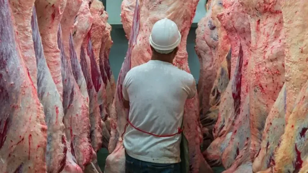 El consumo interno de carne vacuna cayó con fuerza, mientras que las exportaciones crecieron 10,2% durante el primer semestre de 2026.