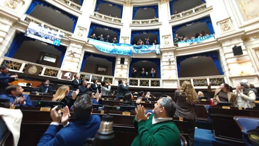 En estos primeros seis meses del año, la mitad de los diputados bonaerenses dieron sus primeros pasos en el parlamento. Cuántos proyectos anotaron los dirigentes electos en 2025.