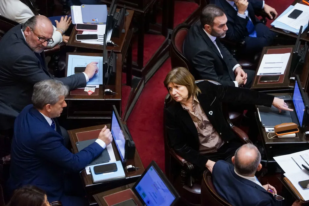 Patricia Bullrich se vuelve a poner a prueba en el Congreso e intentará aprobar la ley de propiedad privada. 