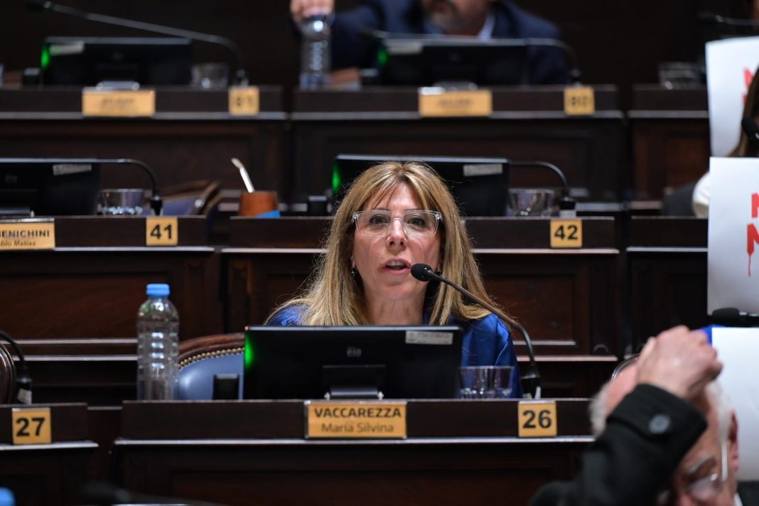 La monzoísta Silvina Vaccarezza volvió a advertir por la suba de la morosidad familiar y reforzó su proyecto para proteger a los sobreendeudados.