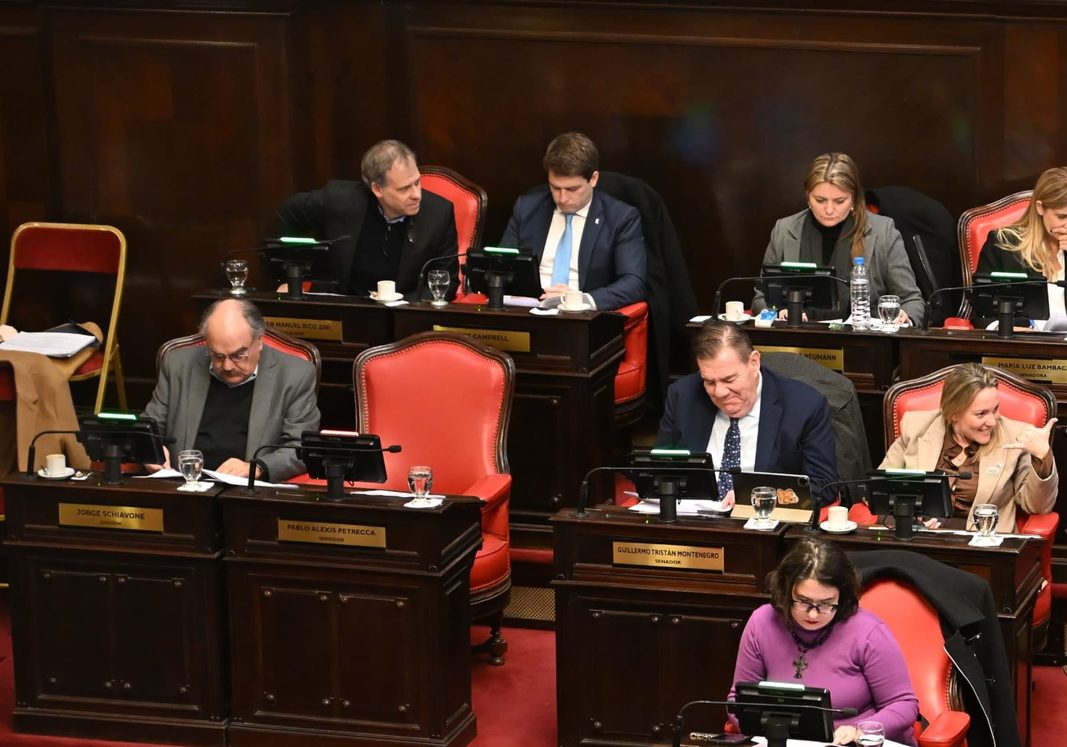 Desde el bloque de senadores bonaerenses del PRO salieron a anticipar su rechazo a la habilitación de las reelecciones indefinidas para intendentes.