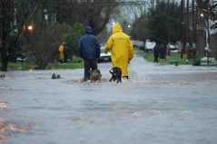 La bancada de LLA presentó un pedido de informes para que Kicillof detalle el plan de prevención de la Provincia ante la posible llegada de El Niño.