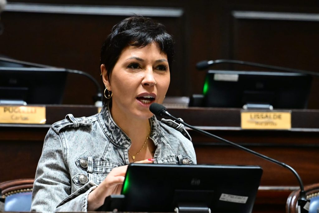 La diputada Mayra Mendoza expresó su preocupación por las largas filas de personas con discapacidad para acceder a los susbisidos en el transporte público.