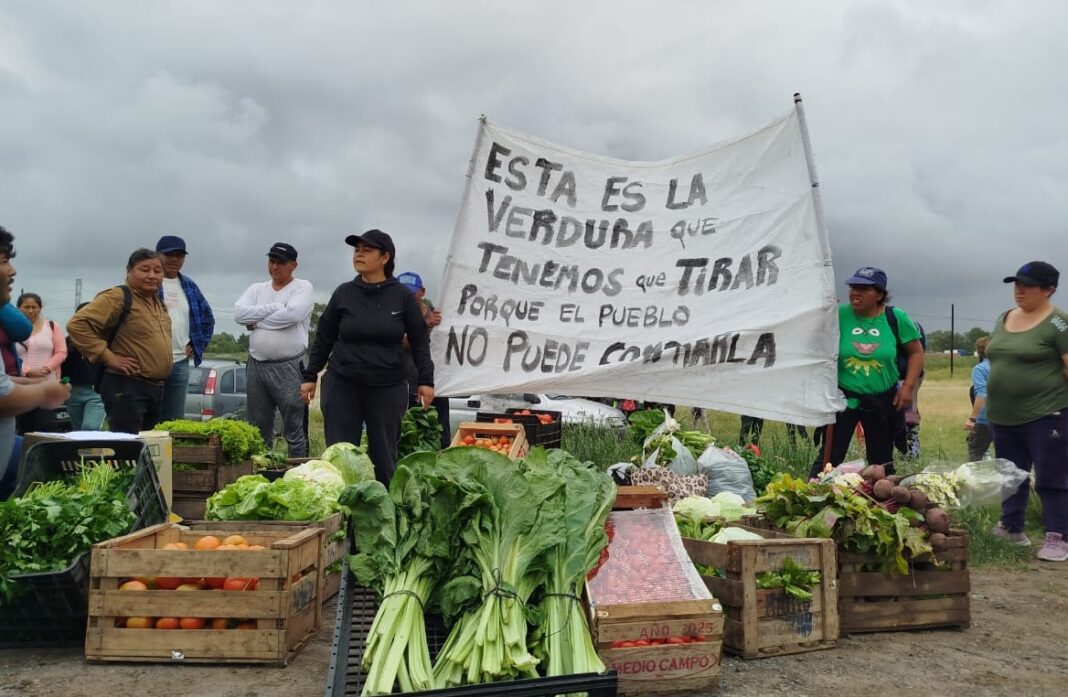 El senador bonaerense, Pedro Borgini, presentó un proyecto de ley para crear el Consejo Consultivo del Cordón Frutihortícola de la Región Capital.