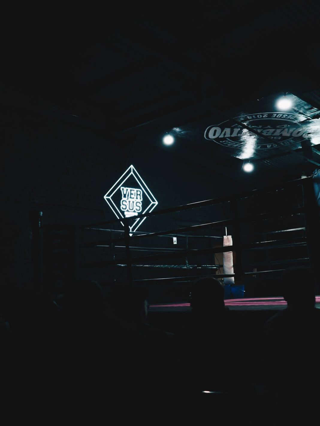 El intendente de San Nicolás, Santiago Passaglia, se subirá a un ring para boxear en un evento benéfico en el marco del Día del Niño.