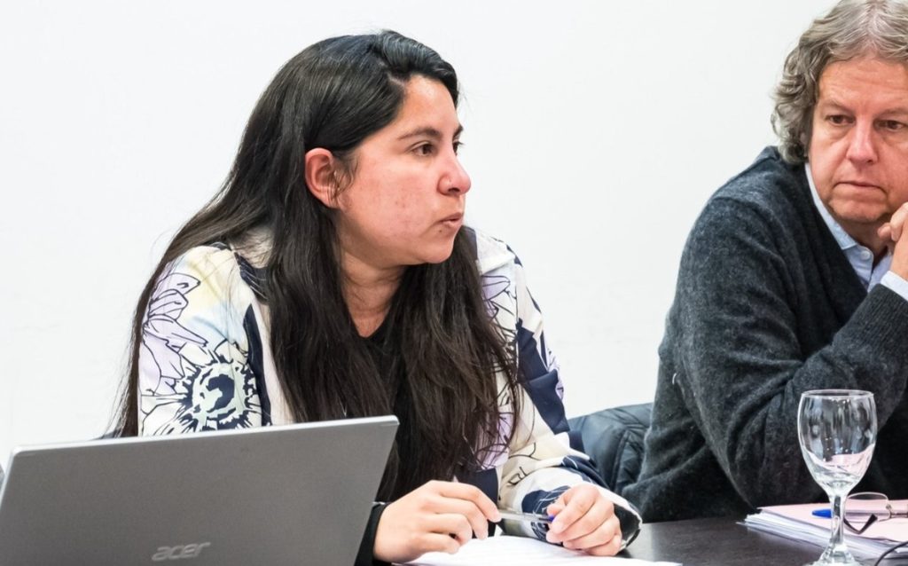 Ley de Tieras: el proyecto de la diputada Noelía Saavedra contempla la creación del Registro Provincial de Tierras Rurales.