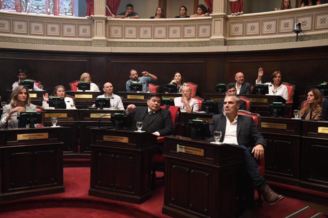 La senadora bonaerense, Ayelén Durán, expresó su repudio al intento del Gobierno nacional de derogar la Ley del Libro.