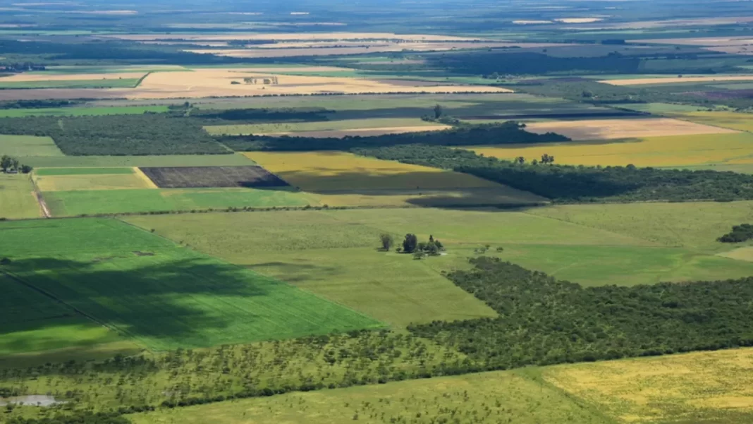 La diputada Noelia Saavedra presentó un proyecto de Ley de Tierras para limitar a 15% “toda titularidad de dominio o posesión