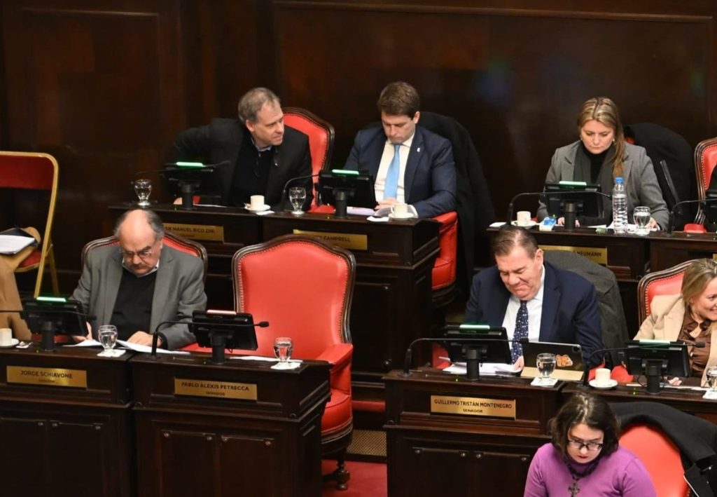 Al igual que otros bloques de la oposición, la bancada del PRO en el Senado bonaerense se pronunció en contra de las reelecciones indefinidas de intendentes.
