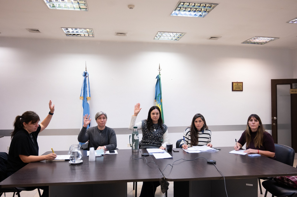 Legislatura bonaerense: la comisión de Mujer de la Cámara de Diputados tendrá esta semana su segunda reunión del año.
