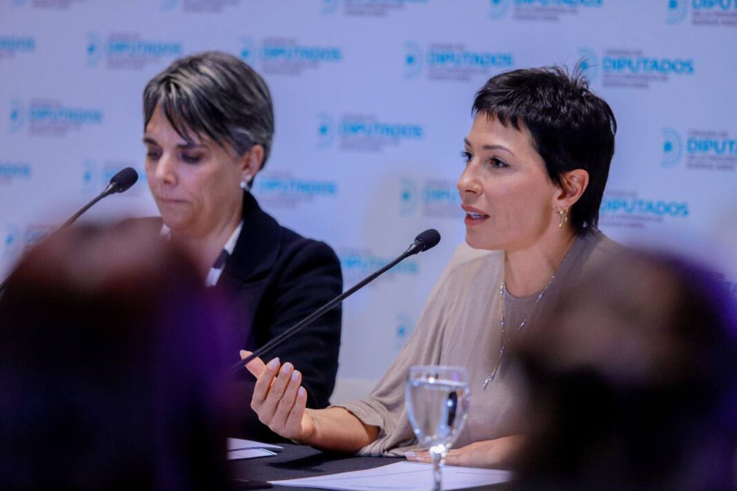 Mayra Mendoza trató a Javier Milei de 