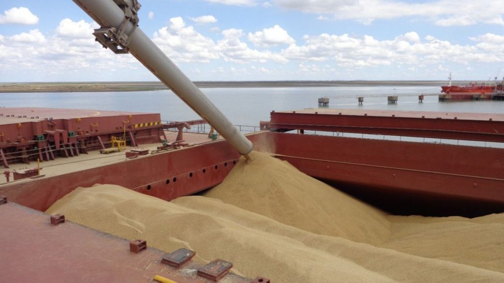 La Prefectura Naval Argentina intimó este martes a 536 trabajadores del servicio de practicaje y pilotaje a retomar de manera inmediata sus tarea en los puertos bonaerenses.