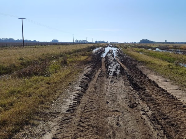 Ingenieros bonaerense manifestaron su respaldo a la participación de productores agropecuarios para que financien y ejecuten obras en caminos rurales.