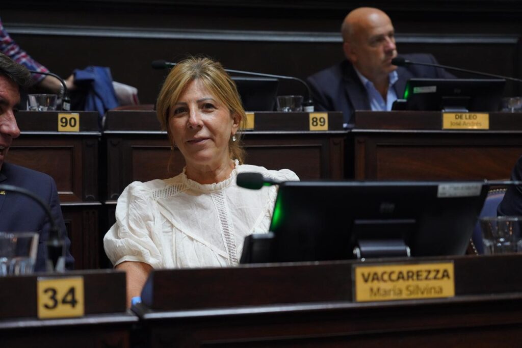 Vaccarezza cuestionó la política económica de Milei y Caputo por relegar la inversión en infraestructura vial.