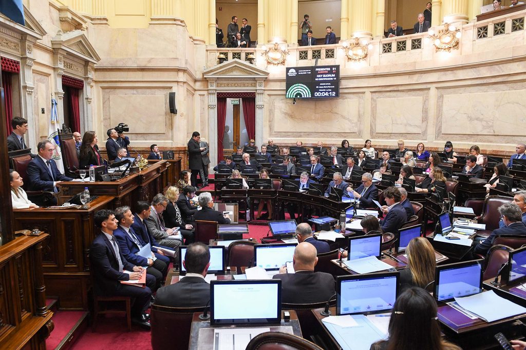 El proyecto de Fernández Sagasti establece una modificación del reglamento interno para habilitar el voto remoto de legisladoras embarazadas.