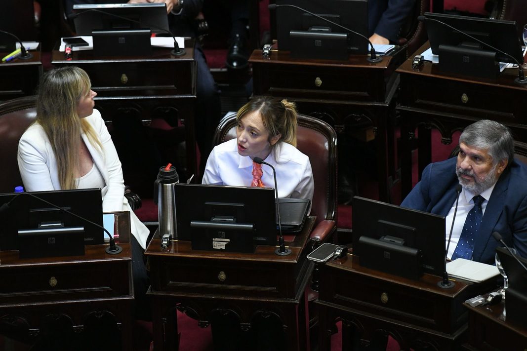 La senadora Anabel Fernández Sagasti propuso modificar el reglamento de la Cámara para que habilitar el voto remoto de embarazadas.