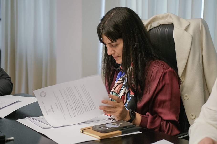 La diputada del Frente Renovador, Sofía Vannelli, presentó una iniciativa para consolidar un organismo que controle y proteja los bienes del Estado bonaerense. 