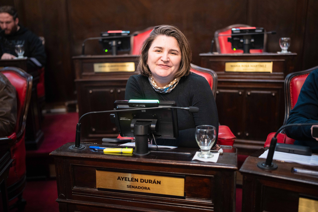 La senadora bonaerense, Ayelén Durán, expresó su repudio a la Ley del Libro, el proyecto del Gobierno nacional de Javier Milei para desregular la industria editorial.