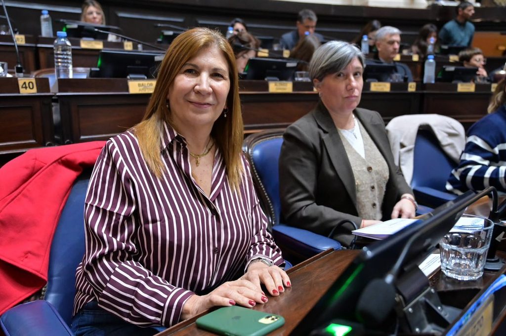 Guzzo destacó que la iniciativa de "Autogeneradores Comunitarios" permitirá que cooperativas y concesionarias generen energía renovable para abastecer a sus usuarios y asociados.
