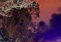 Apagón en La Plata: un incendio en una central eléctrica dejó sin luz a miles de vecinos Un incendio registrado durante la madrugada en una central eléctrica de Tolosa provocó un corte de luz que afectó a distintos sectores de La Plata y localidades cercanas.