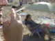 Diputados: buscan prohibir el cigarrillo en todas las playas de la provincia de Buenos Aires El oficialista Juan Malpelli busca extender las playas libres de humo a toda la provincia, con sectores para fumadores y multas económicas.