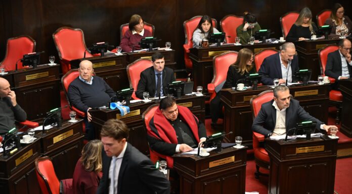 Senadora peronista planteó alternativas para habilitar las reelecciones indefinidas sin pasar por la Legislatura La senadora Mónica Macha presentó dos alternativas para brindarle las reelecciones indefinidas a los intendentes, en caso de que la Legislatura siga con su inacción.