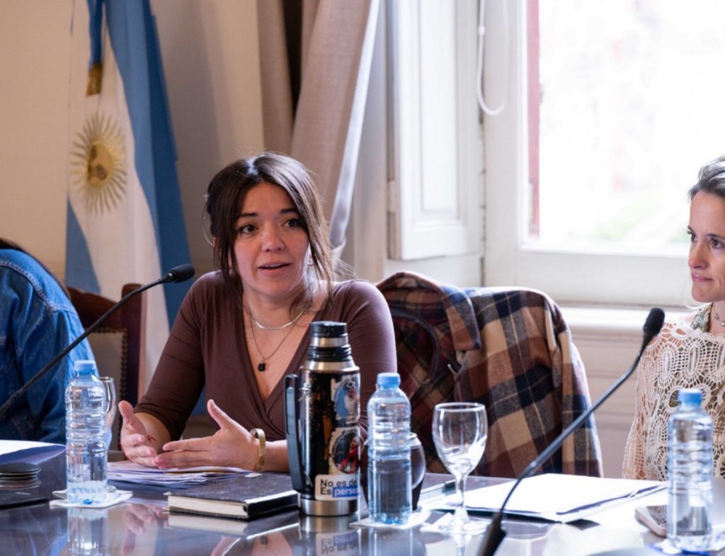 Diputados: la iniciativa de la legisladora Margarita Recalde avanzó en comisiones pero recibió el rechazo del arco opositor.