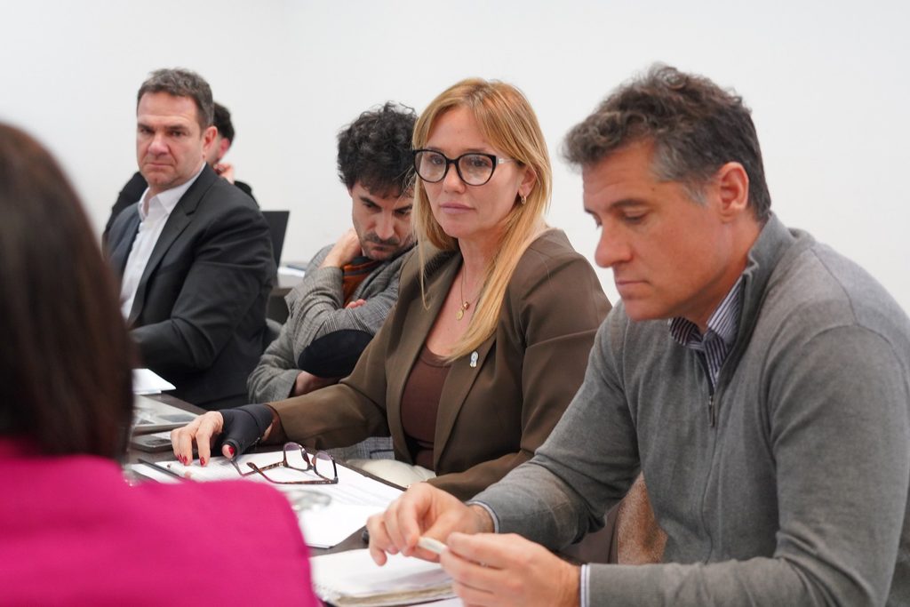 La comisión de Deportes, a cargo de la diputada Marcela Basualdo, aprobó por unanimidad la iniciativa impulsada por el Frente Renovador.