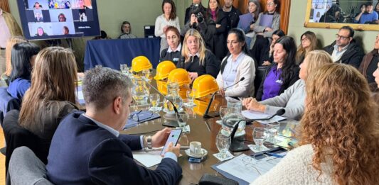 Obreras de UOCRA participaron de una comisión del Senado bonaerense para respaldar la ley de Fernanda Raverta de cupo femenino en la construcción.