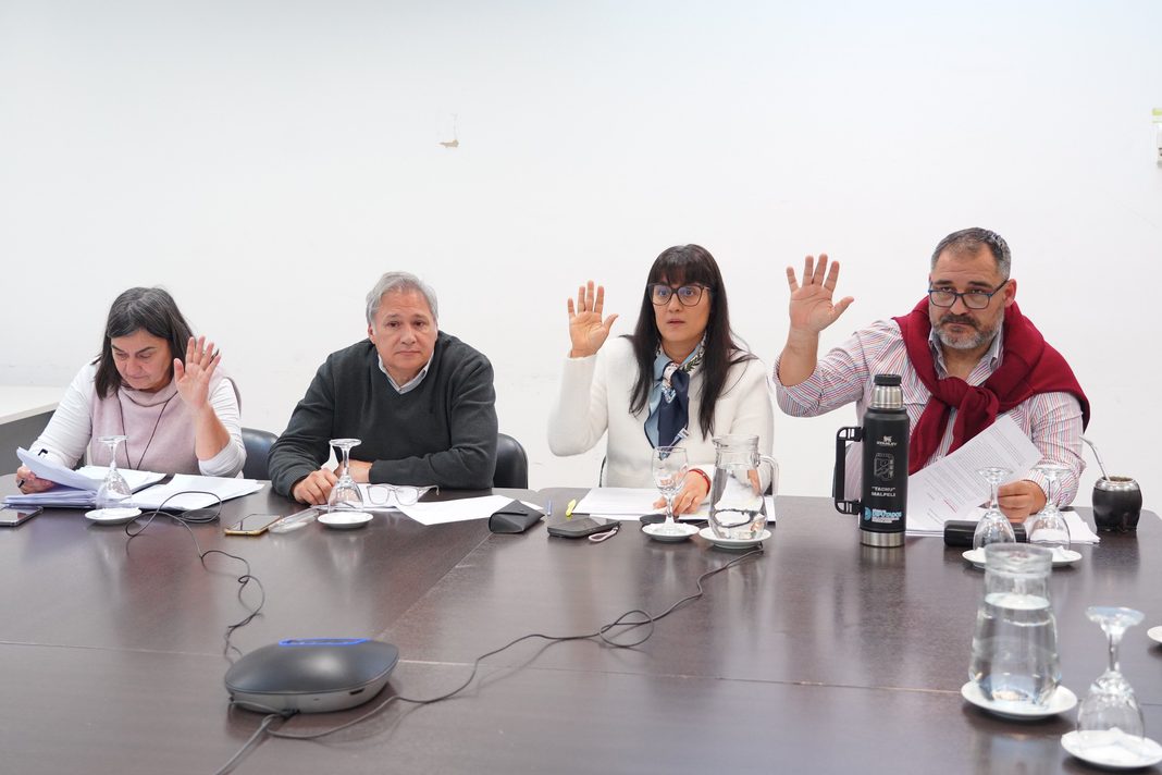 La comisión de Ambiente de Diputados despachó tres iniciativas que quedaron en condiciones de ser debatidas en el recinto: de qué tratan.