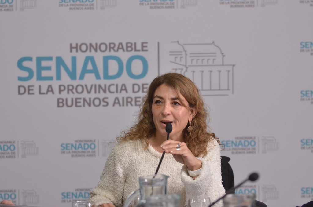 En el marco de la comisión de Discapacidad, la senadora Natalia Quintana repudió la quita de los subsidios al transporte para las personas con discapacidad.