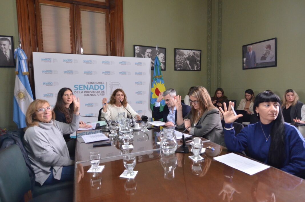 En el marco de la comisión de Discapacidad, senadores bonaerenses repudiaron la quita de los subsidios al transporte para las personas con discapacidad.