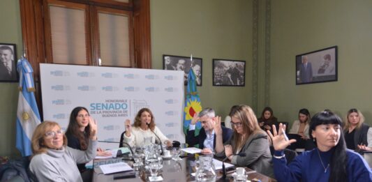 En el marco de la comisión de Discapacidad, senadores bonaerenses repudiaron la quita de los subsidios al transporte para las personas con discapacidad.