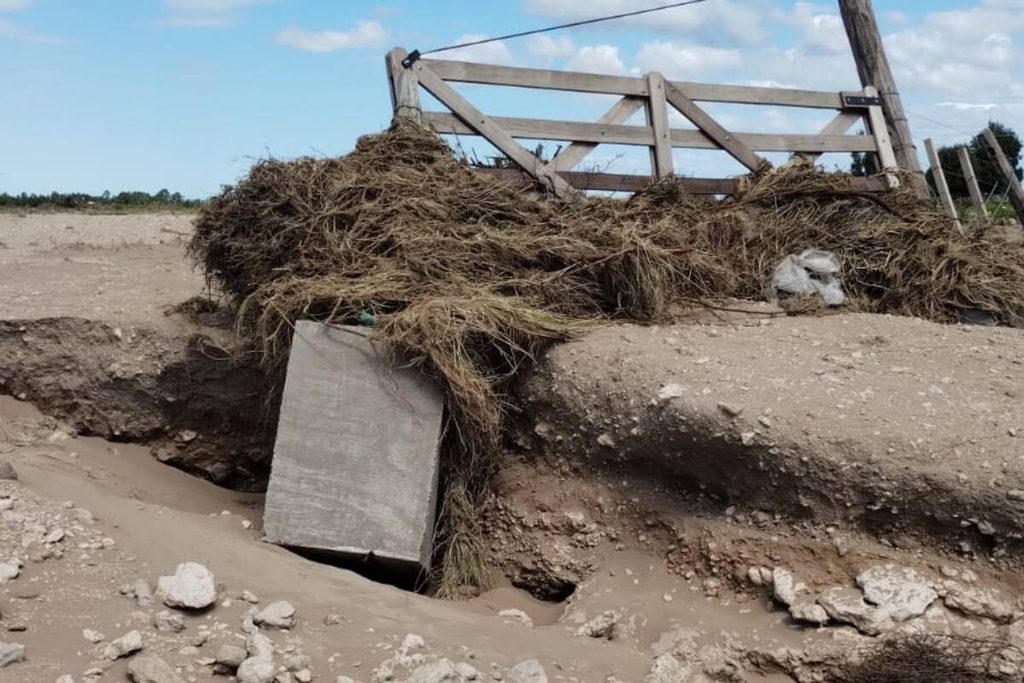 Nerina Neumann impulsa una modificación en la distribución del Inmobiliario Rural para destinar más recursos al mantenimiento de los caminos rurales.