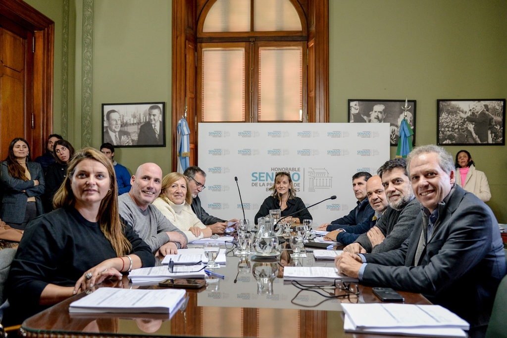 Legislatura bonaerense: la comisión de Reforma Política del Senado tendrá esta semana su tercera reunión ordinaria del año.