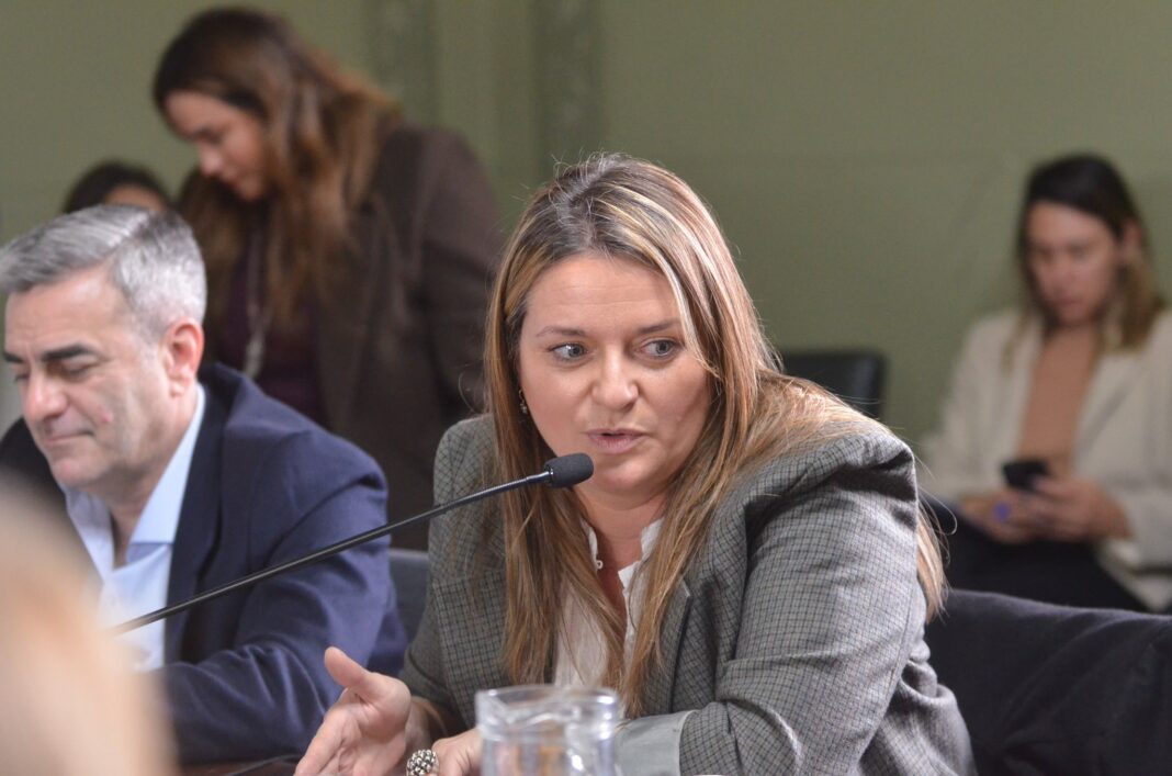 La senadora de la UCR, Nerina Neumann, se refirió a los dos proyectos de ley que fueron defendidos por el ministro de Salud, Nicolás Kreplak.