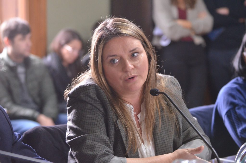 Neumann: "Si no hay cambios, no voy a acompañar esta empresa de medicamentos".