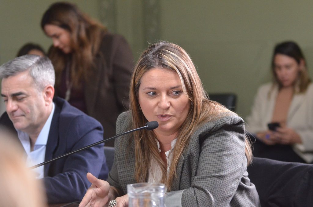 La iniciativa de Neumann avanzó primero en el Senado y completó ahora su recorrido legislativo en Diputados.