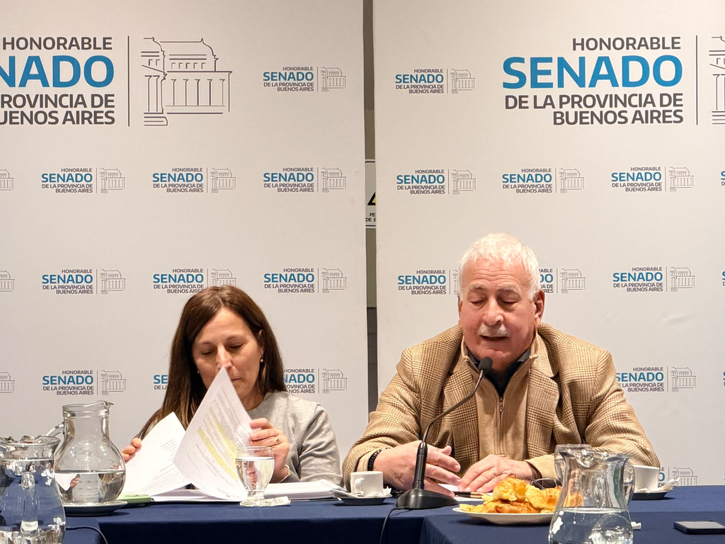 Empresarios pymes expusieron en una comisión del Senado bonaerense y trazaron un escenario inquietante.