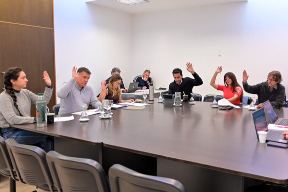 Diputados: avanzó la Ley Santiago Stirz para crear un registro de instrumentos musicales Diputados avanzó en comisiones con el proyecto de ley Ignacio Stirz, que apunta a promover la protección de los instrumentos de músicos bonaerenses.