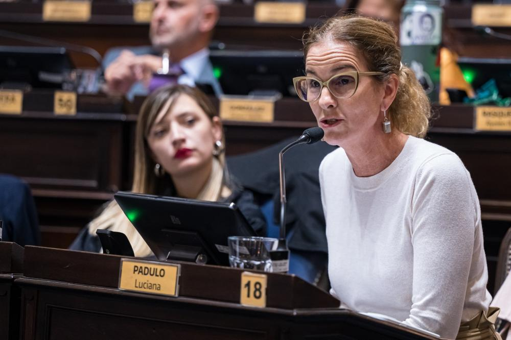 La Cámara de Diputados otorgó media sanción al proyecto de la legisladora Luciana Padulo para regular la exposición de estudiantes en redes sociales. 