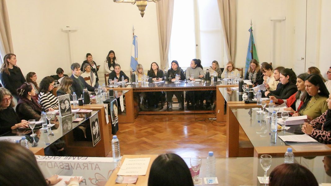 Legisladoras bonaerenses ratificaron su rechazo al proyecto de Losada sobre falsas denuncias y volvieron a alertar por su impacto.