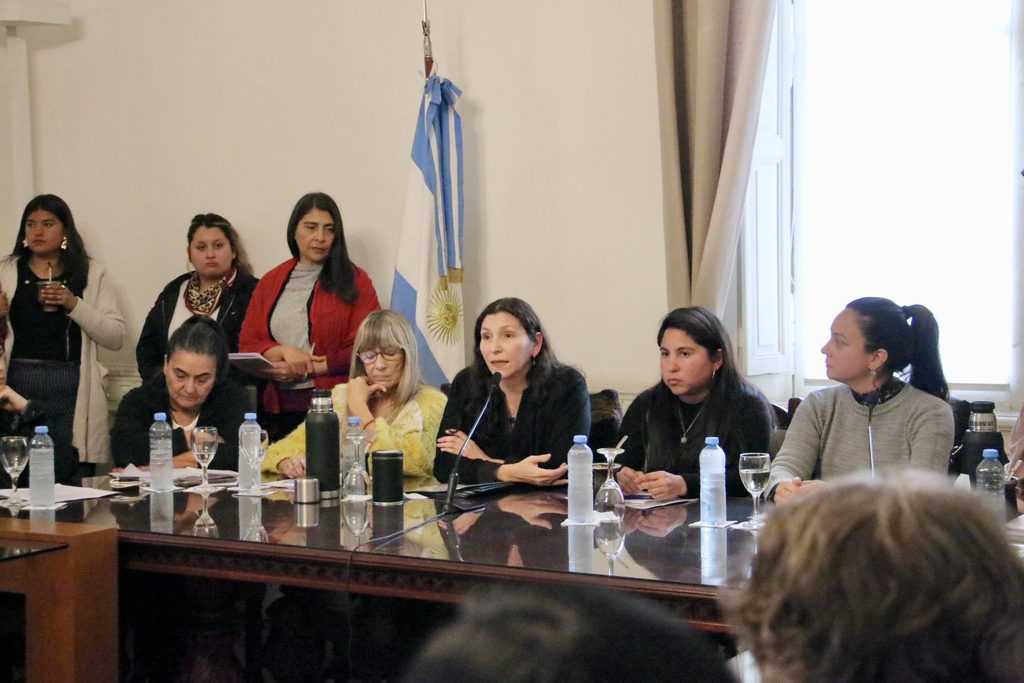 La Legislatura bonaerense fue escenario de una nueva expresión de rechazo al proyecto de Carolina Losada sobre falsas denuncias.