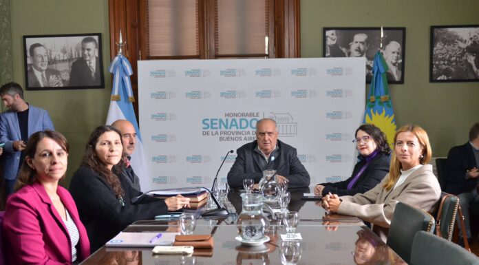 Kirchneristas, opositores y efectores privados le frenaron las leyes de salud a Kicillof La comisión de Salud del Senado dejó en estudio las dos leyes de Kicillof. La interna peronista, la resistencia opositora y la voz de los privados, las causas principales.