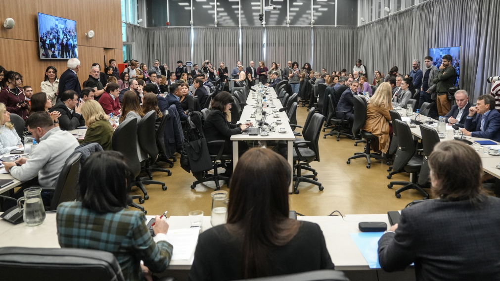 Diputados: la oposición busca extender por un año la Emergencia en Discapacidad que vence a fines de 2026.