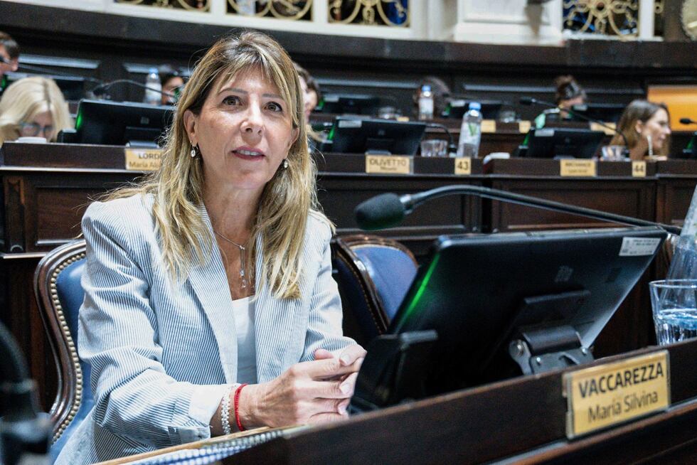 Vaccarezza advirtió que la Provincia registra más de 2,2 millones de personas en situación de morosidad.