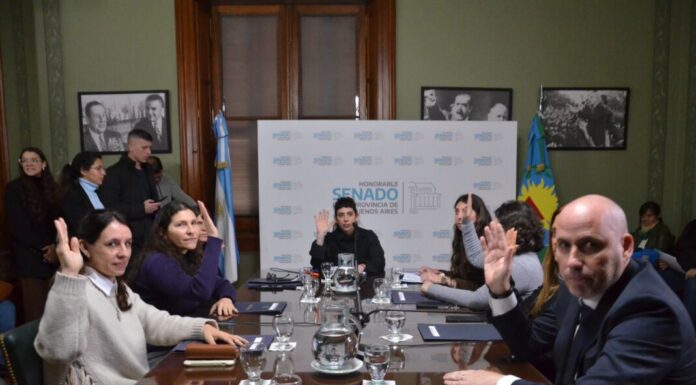 El Senado despachó una ley para penar el negacionismo de los crímenes de la dictadura La comisión de Derechos Humanos y Garantías del Senado bonaerense avanzó con un proyecto para penar los discursos negacionistas del terrorismo de Estado.