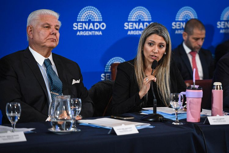 En una nueva muestra de debilidad, el oficialismo no logró dictaminar este miércoles el proyecto del Súper RIGI en el plenario de comisiones del Senado nacional.