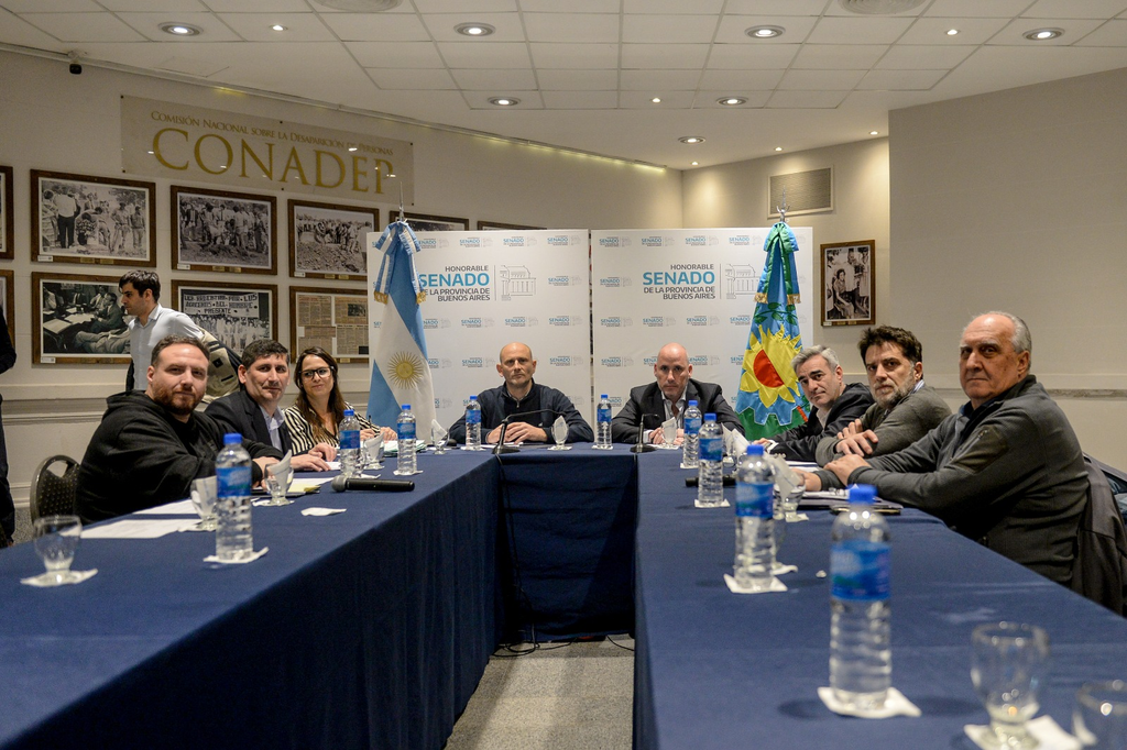 La comisión de Legislación General del Senado aprobó por mayoría el proyecto de Berni que establece la designación para representar al Gobierno bonaerense en el procedimiento de privatización de NASA.