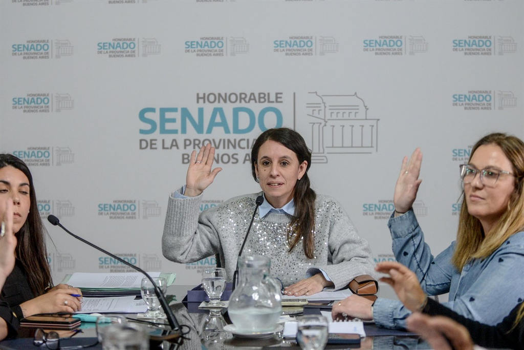La comisión de Niñez del Senado bonaerense avanzó con un proyecto de la legisladora de Fuerza Patria, Mónica Macha, que pretende ampliar la Ley de Violencia Familiar.